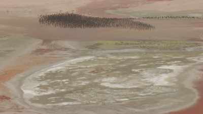 Des milliers de flamants, Laguna Colorada