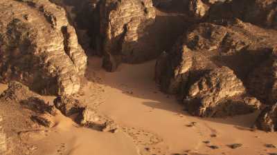Dromadaires et canyon, dans le désert rocheux de la région de Djanet