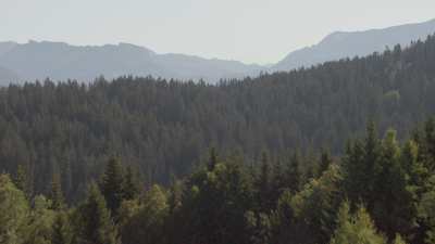 French Alps