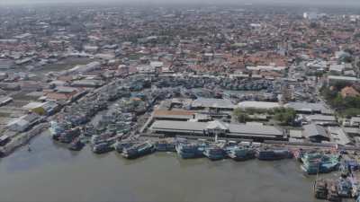 Déchargement de poisson sur la côte nord de Java