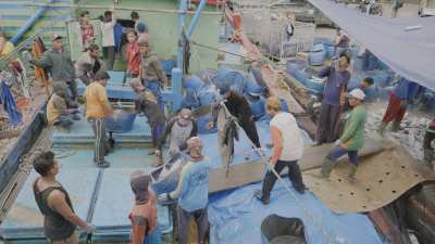 Déchargement de poisson sur la côte nord de Java