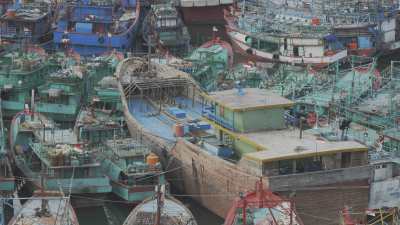 Déchargement de poisson sur la côte nord de Java